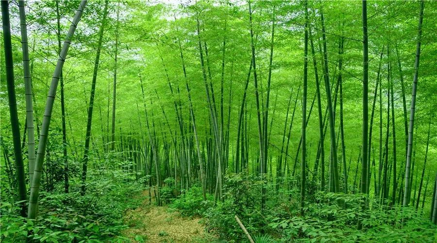 夏景图片,夏图片,盛夏风景图片_大山谷图库