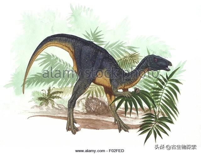 图片来自网络图注:木他龙复原图,图片来自网络图注:沃格特鳄龙复原图