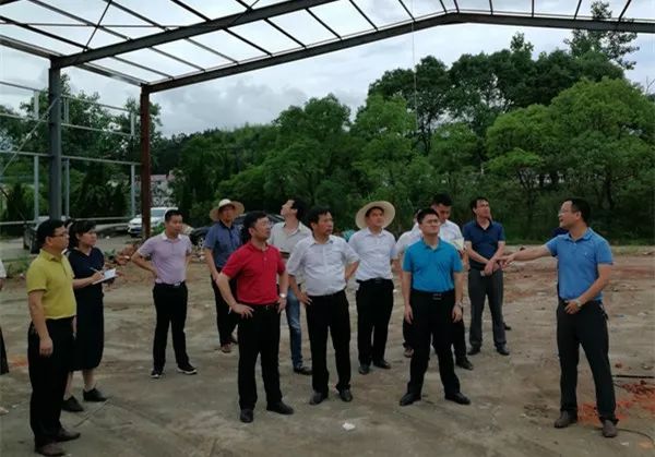 全县重点项目如何推进?县长这样说