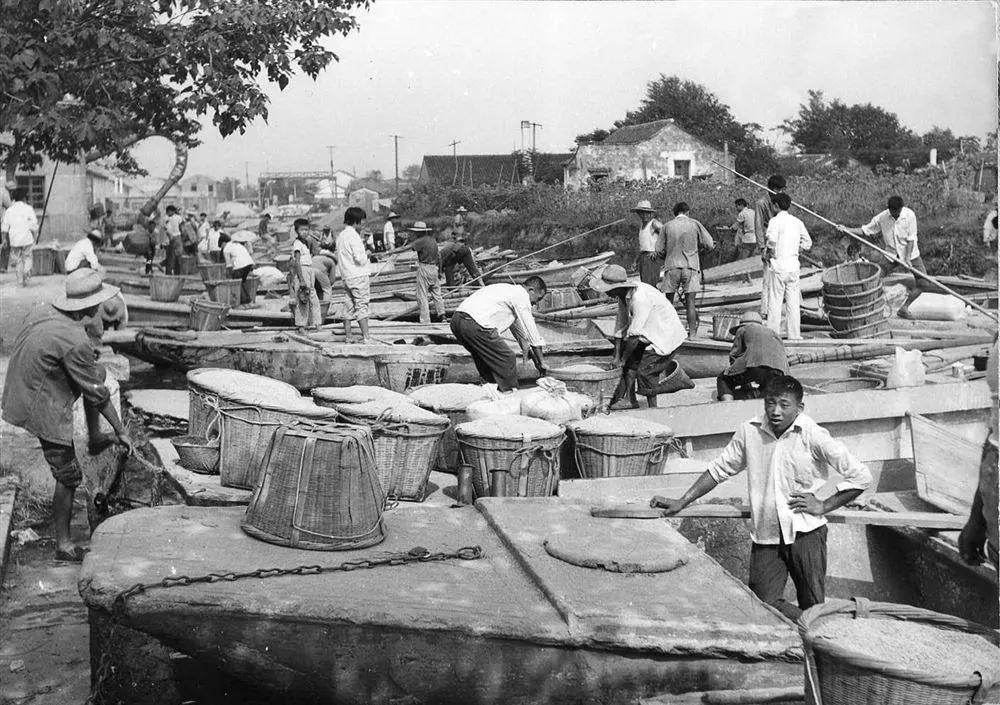 一组珍贵的老照片看过的吴江人都感慨万千