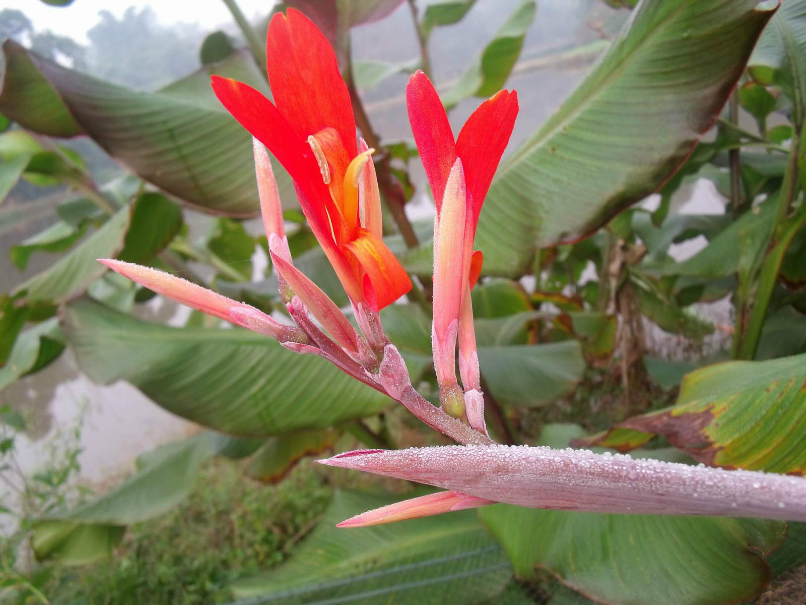 复合型农业电商平台 力促特色农产品销售