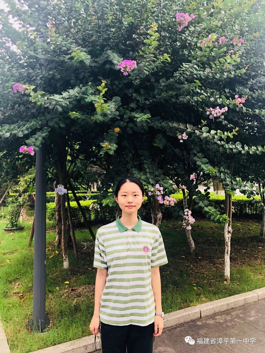 指导老师:陈芳演讲:陈诗颖