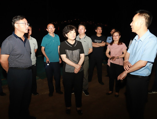 上街区委书记宋洁督导我区环境污染治理工作