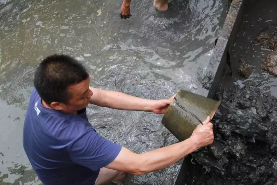 上午時分,潭山村龍船會元老許鉅泉(人稱三哥)就拿著貢品先去到潭山娘