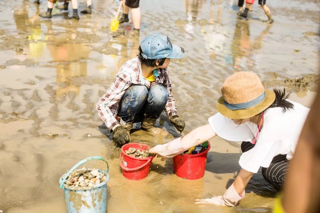 赶海活动照片图片