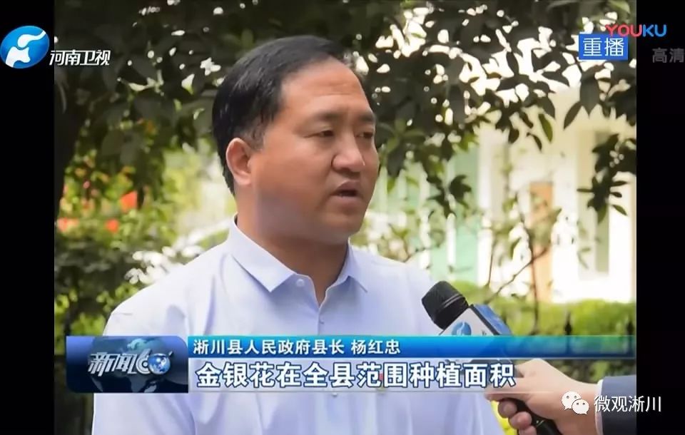 淅川二花石榴火了河南卫视报道县长大力推介
