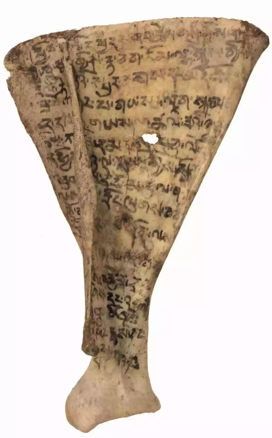 都兰热水23号墓出土的古藏文胛骨释读夏查那违约赔偿契书董布卜辞祈文