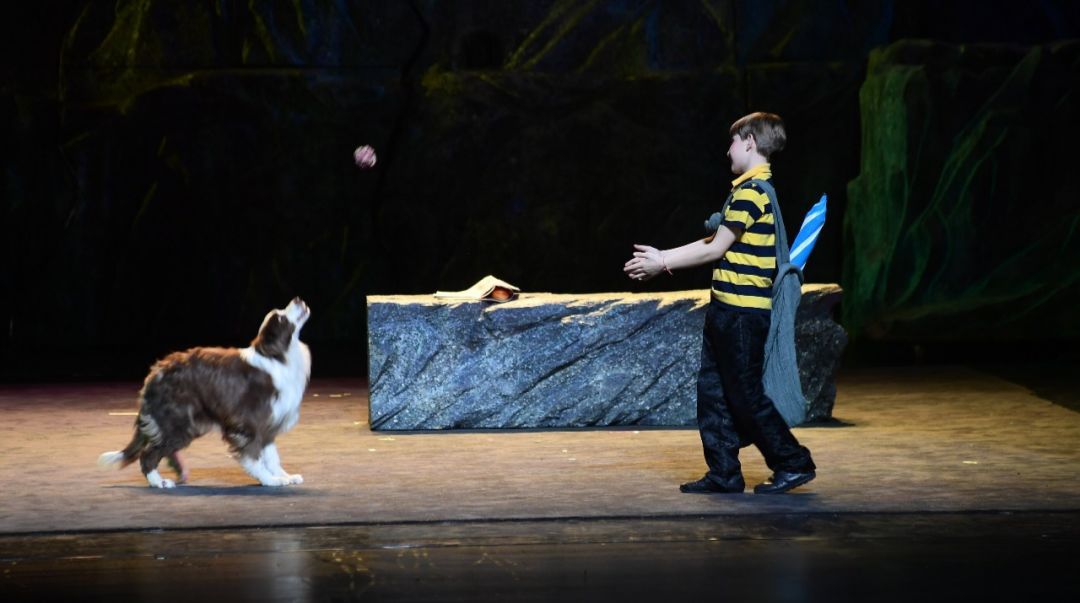 周三上演当萌萌哒的动物走进剧场会发生什么呢