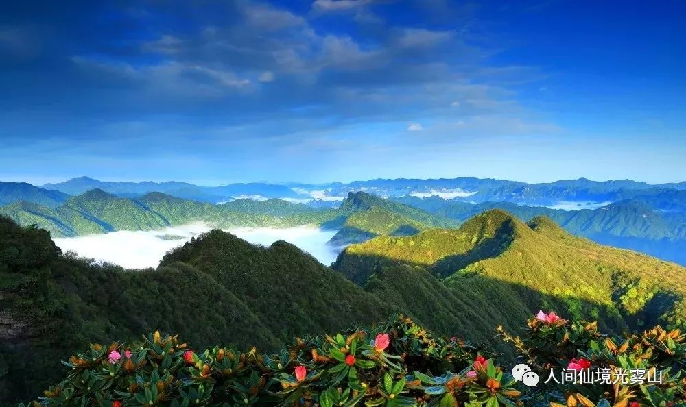 夏季出遊首選光霧山既能納涼避暑又能遊山玩水