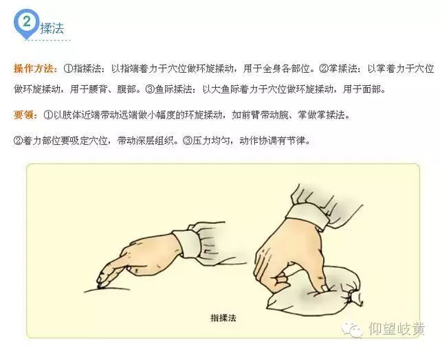 健康养生知识的重要性及最新趋势