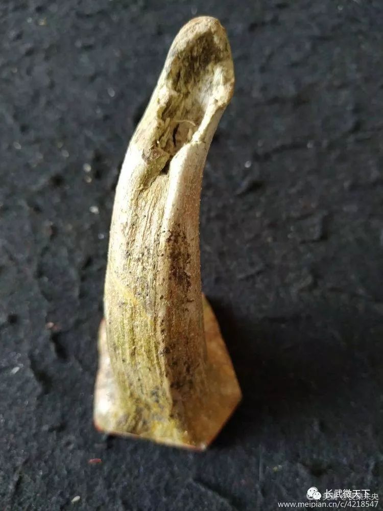 印文:长喜 材质:南瓜蒂 尺寸:约3.5*4*8 创作时间:2019.3.