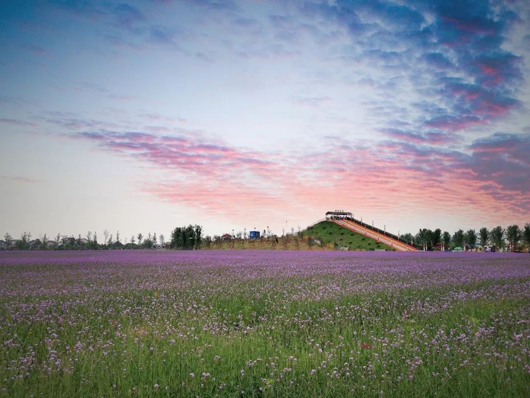 高考学生辛苦了枫林花海免费请你游玩