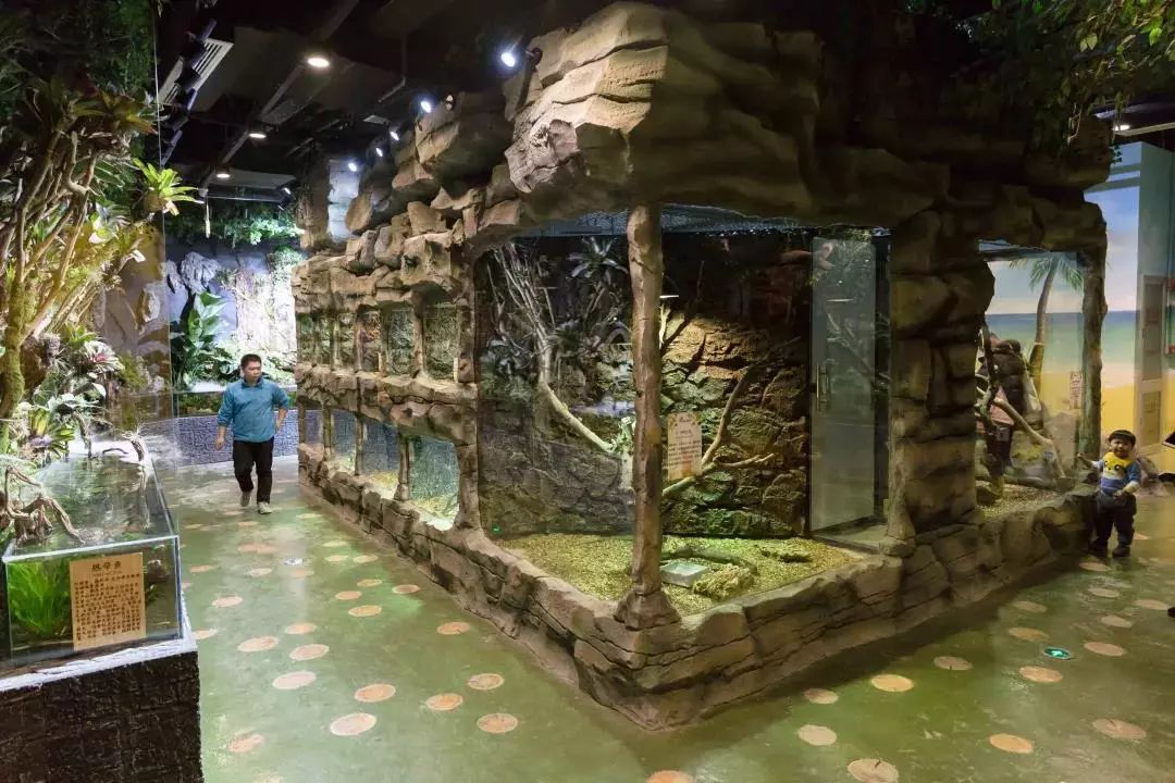 吸猫吸猪吸袋鼠可以吸一切的室内动物园来了萌翻啦潮流派