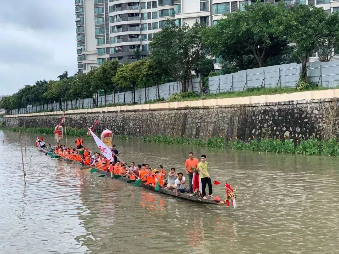 起龙,采青,探亲…番禺龙舟习俗,你知道多少?_龙船