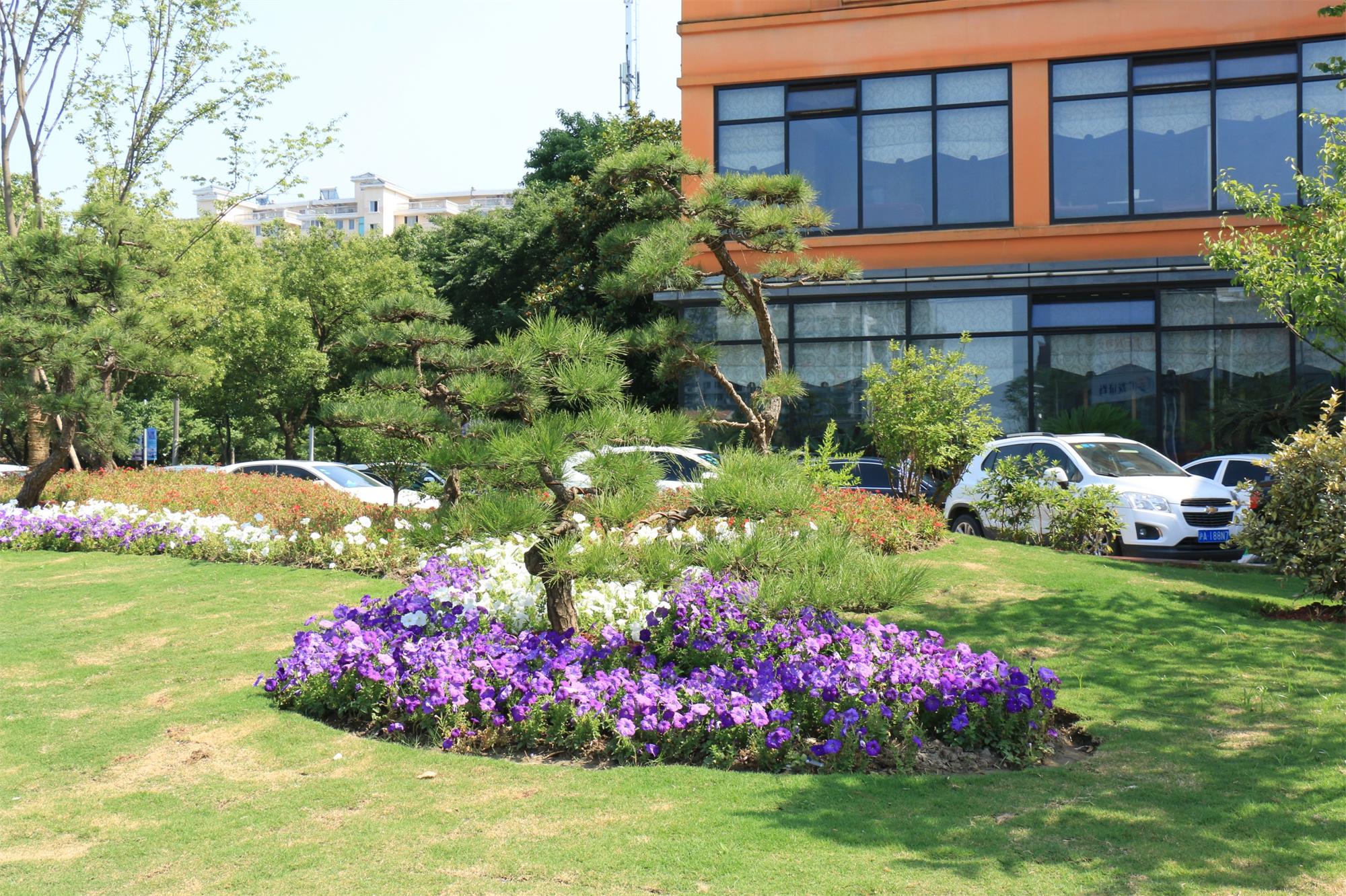 松江城区路口节点绿化景观改造近日完工