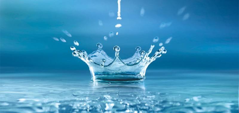 闽正鲍鱼的秘密part2你有所不知的活水养殖