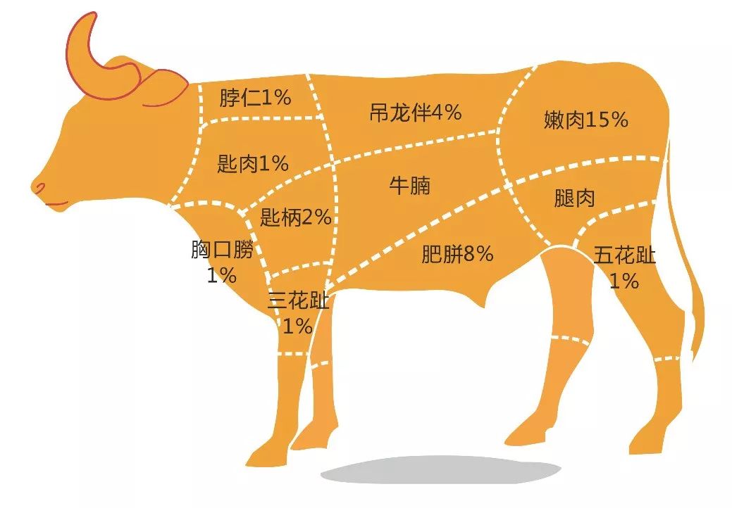 年龄适中的将牛肉口感做到极致潮汕火锅走出潮汕不变味让今日炊牛