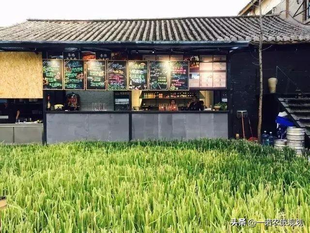稻田民宿餐厅惊艳到骨子里的田野风光