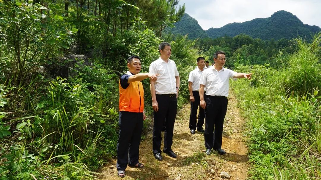 胡俊华,魏军韩对大问村进行实地调研▲ 李德庆,蒋爱国,孙辉对大禄