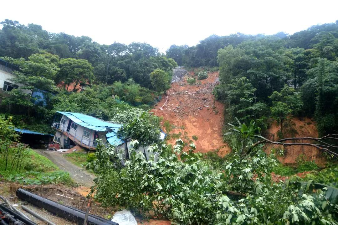 受连日暴雨影响,福建省三明市下洋焦坑山公墓发生山体滑坡