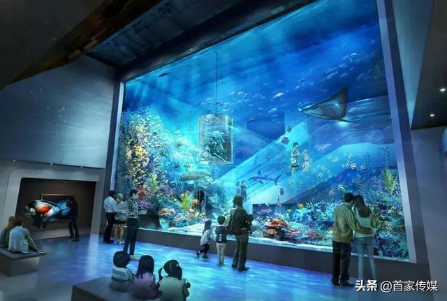 官宣来了!亳州市海洋馆正式动工海洋世界呈现 进入倒计时