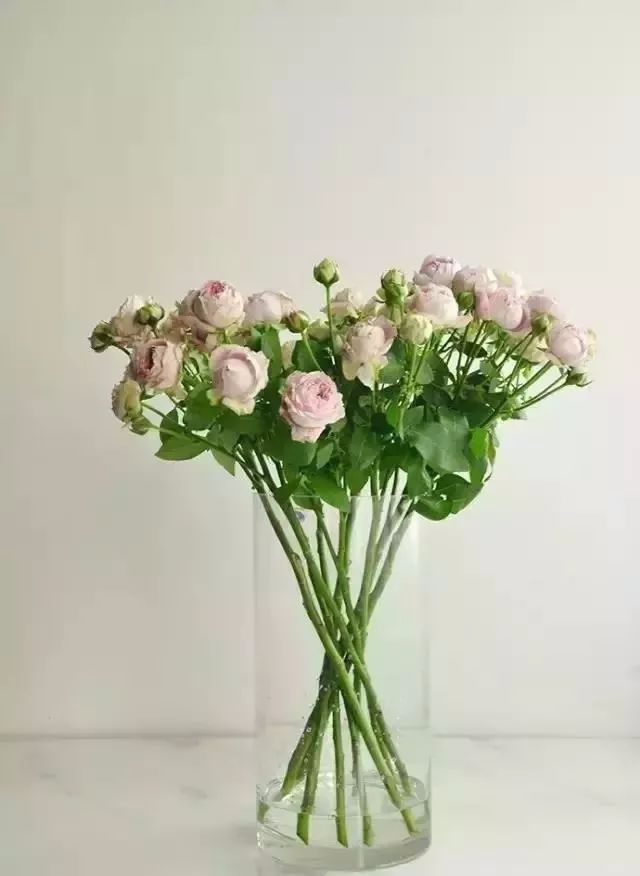 加花完成后,调整花材的高度和方向,使瓶插花作品更饱满,就这样,一个