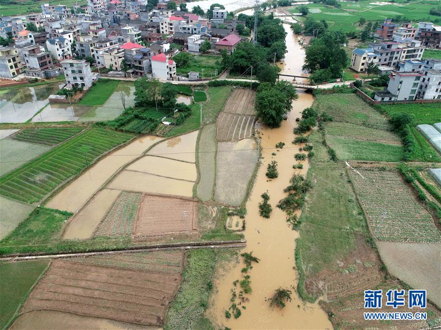 1/ 12 6月10日,在江西省永新县莲洲乡土田村,瓜农在洪水退去后进入