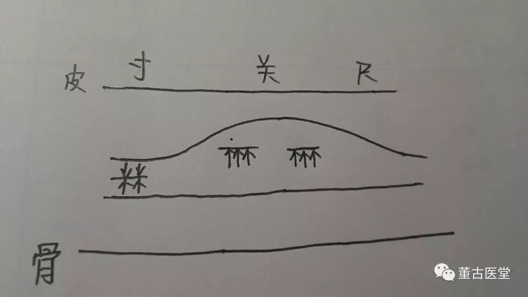 看图学脉诊方脉篇四逆散脉