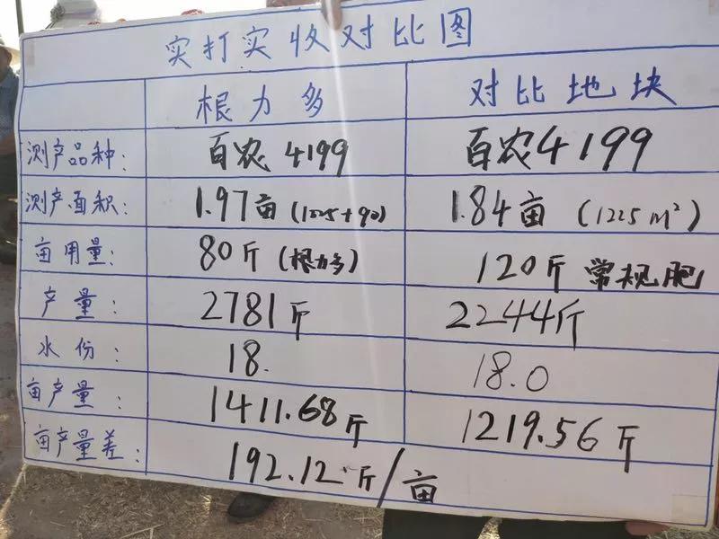 根力多中国农技推广绿色发展行动小麦实打实收直播滑县站圆满成功