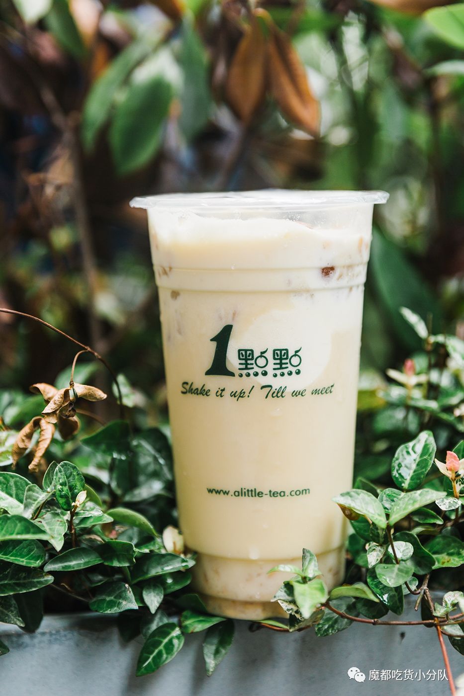 咖啡冻奶绿 珍波椰 少冰3分