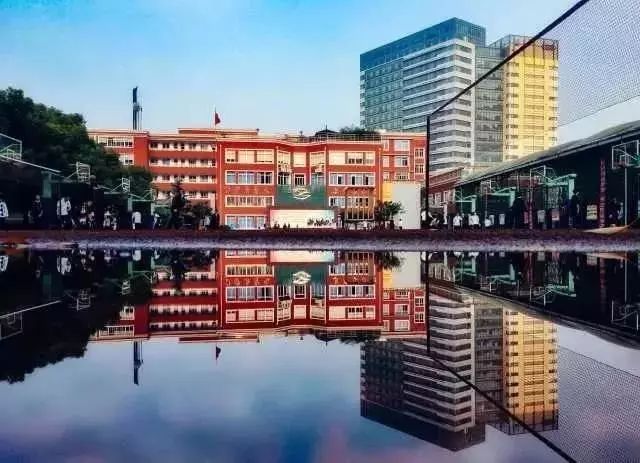 学校名录上海市西南位育中学国际部