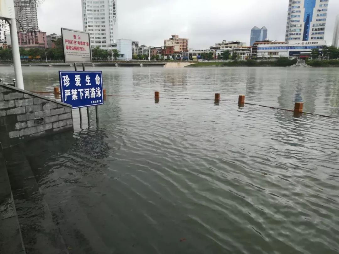 河源市多地停课,枫树坝水库开闸泄洪!