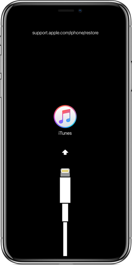 谍照显示iPhone 11最终放弃Lightning接口 转向USB-C