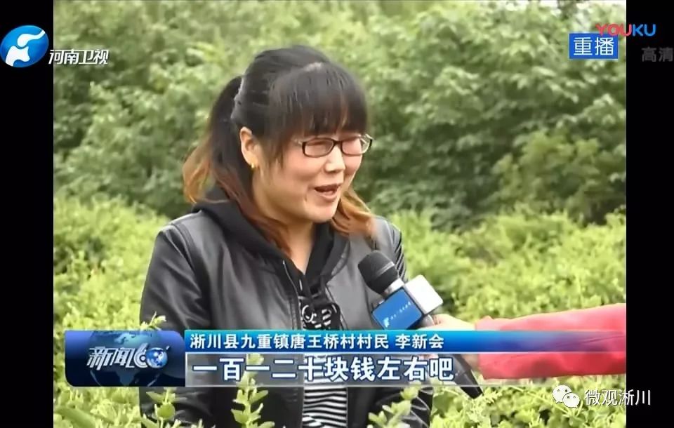 淅川二花石榴火了河南卫视报道县长大力推介