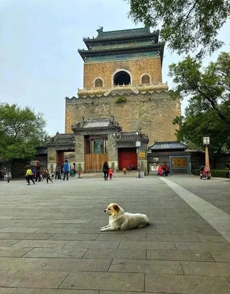 積水潭站)潭西勝境地鐵2號線票價:免費(地鐵一號線永安裡站)日壇公園