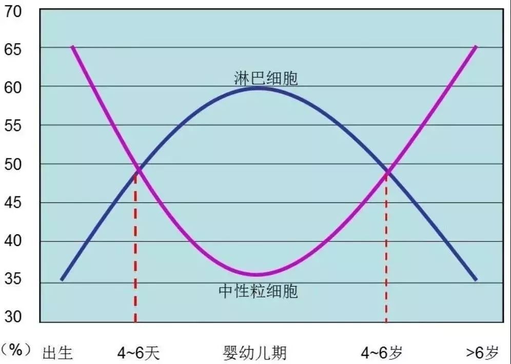 血常规参考值常常对儿童不适用_白细胞