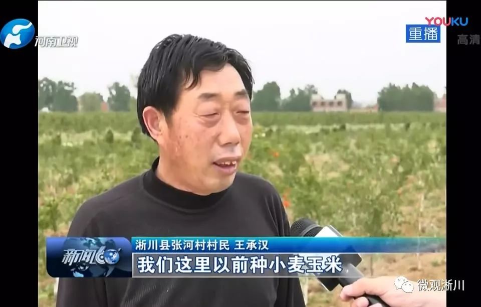 淅川二花石榴火了河南卫视报道县长大力推介