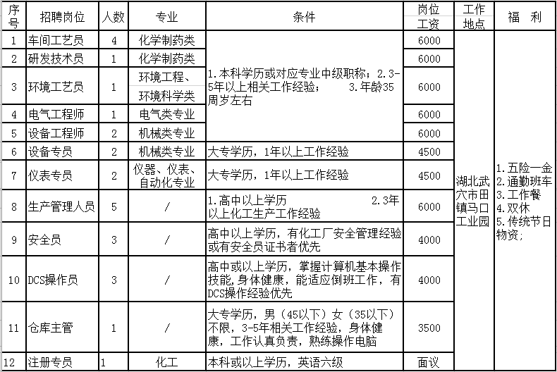 武穴人才市场：城市发展的新引擎