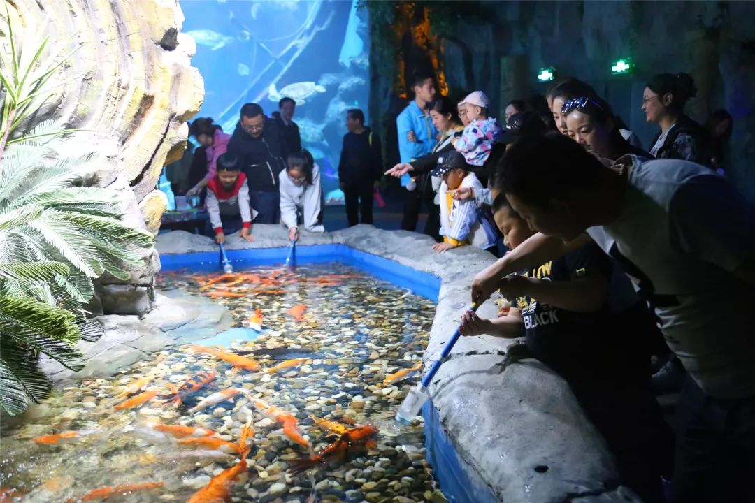 憑藉准考證40元暢玩鄂爾多斯野生動物園(海洋館暫時不參加優惠哦~)