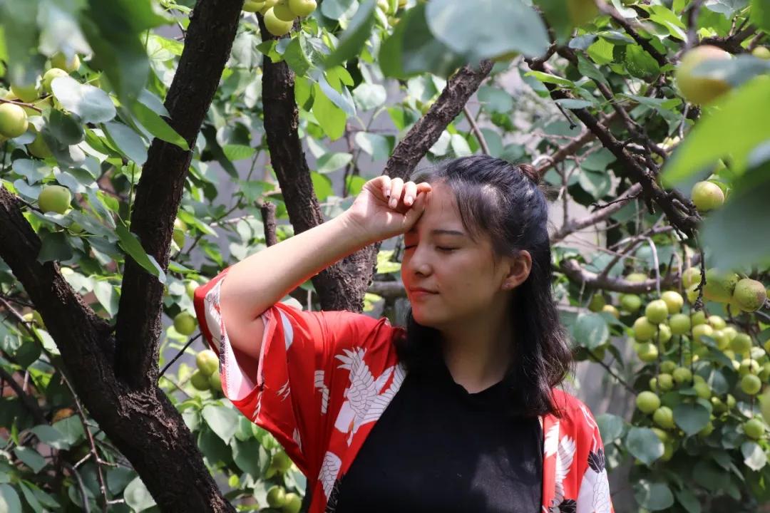 邢台巨鹿举办了27届的红杏商务节再次启动今年看点又多了