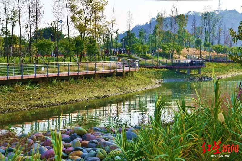 衡东踏庄生态公园图片