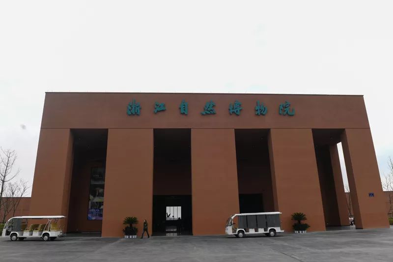 作为亚洲单体建筑最大的自然博物馆,它由地质馆,生态馆,贝林馆,恐龙馆