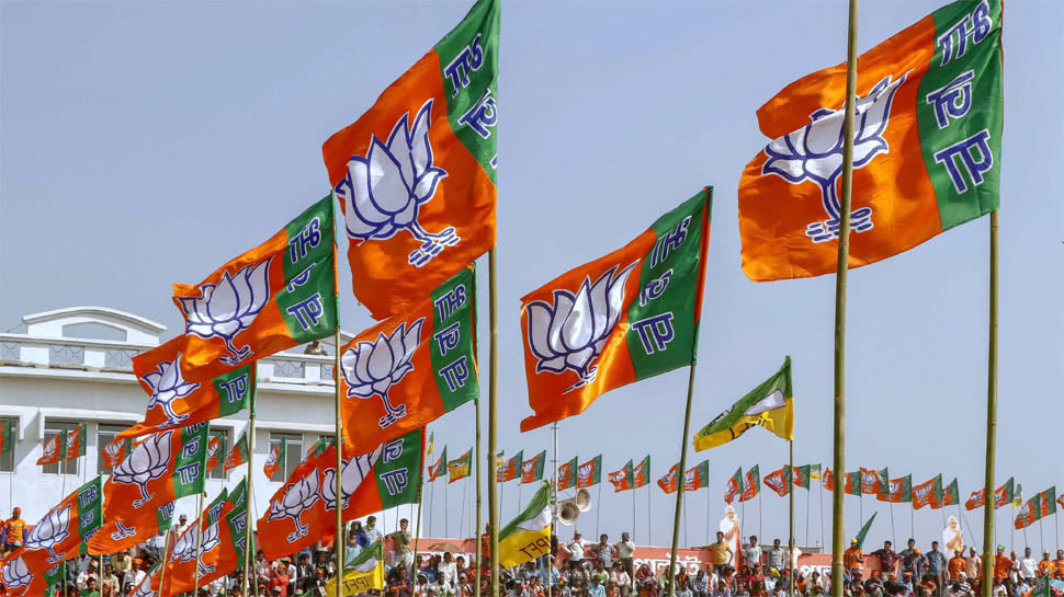 印度人民党(bjp)旗帜