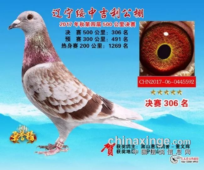 辽宁众城公棚决赛165名,250名,484名,542名辽宁吉利公棚决赛150名,201
