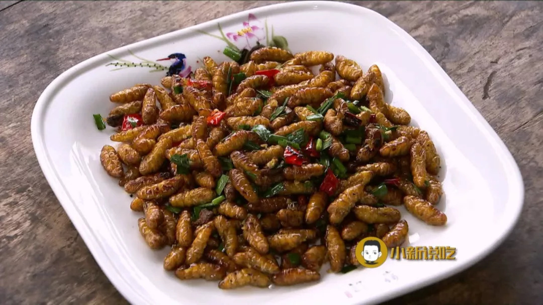 嘉兴滋味:韭菜炒蚕蛹