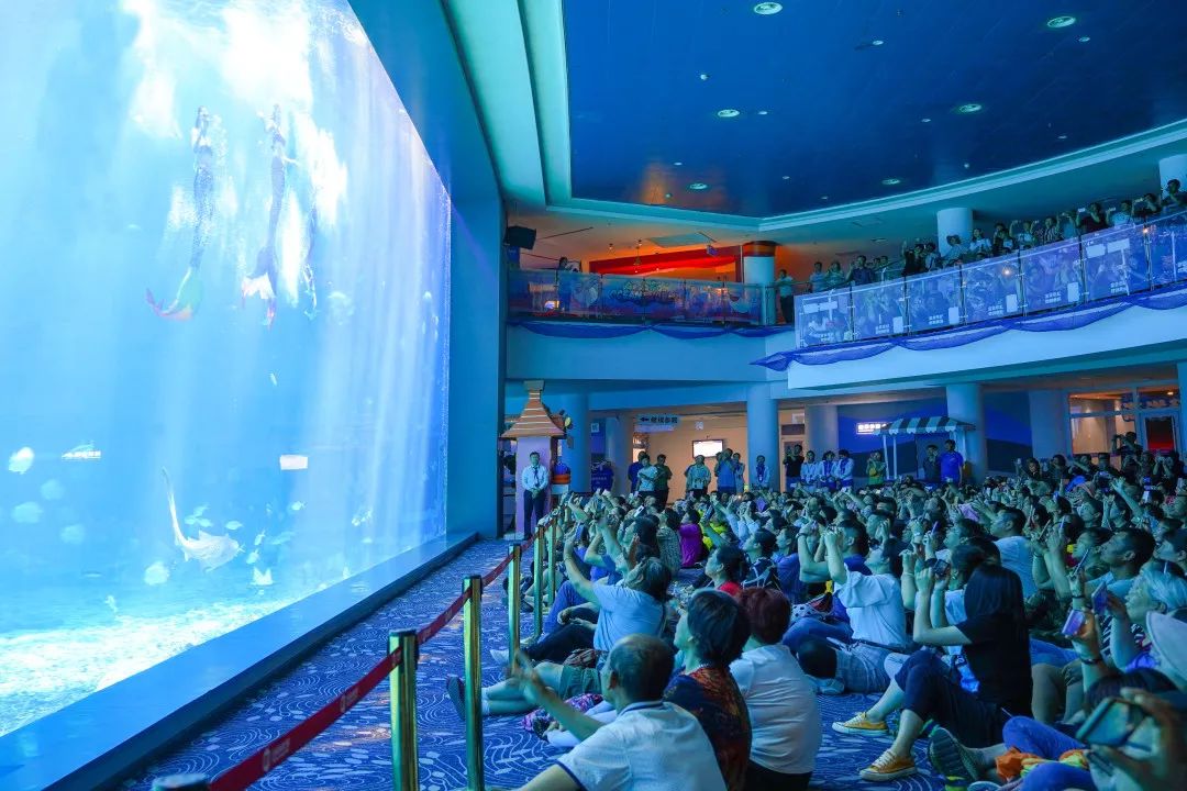 海洋剧场里精彩的海狮海豚科普秀,展示动物们的聪慧.