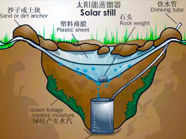 泥沙水的净化图图片