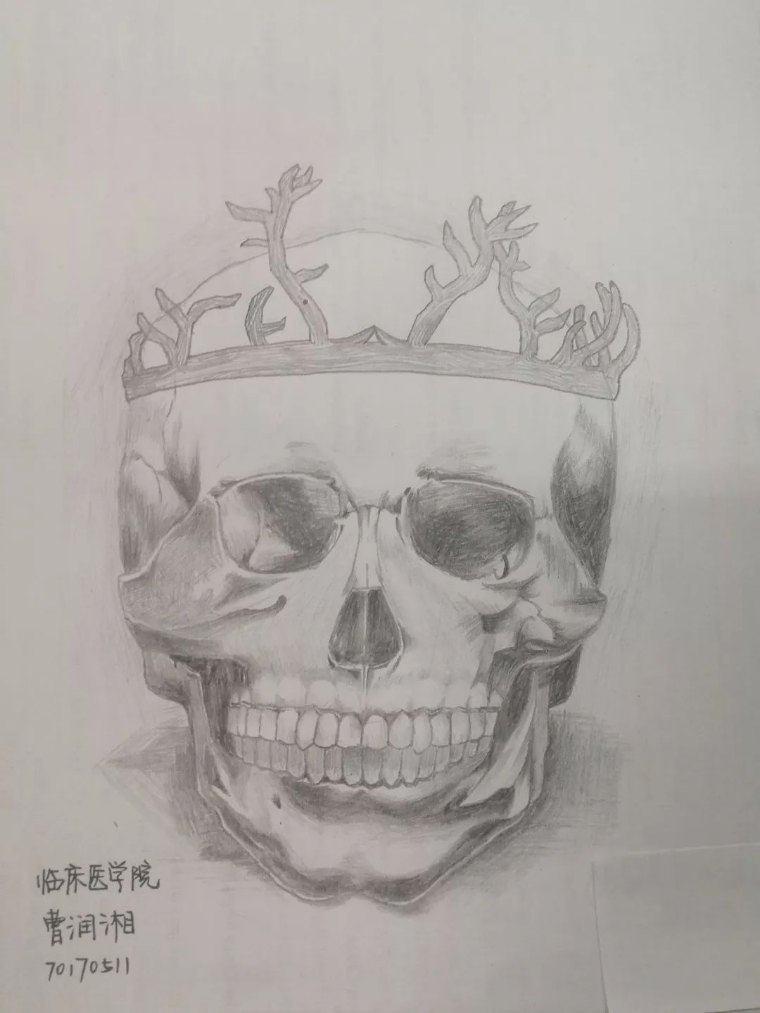 绘图大赛|医学与艺术的交织融合(一)_作品
