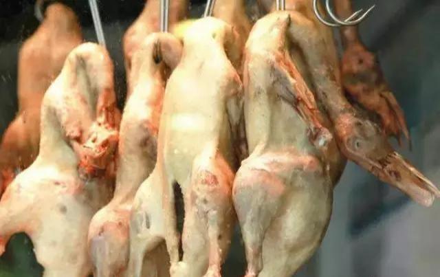 没有一只鸭子能活着离开南京