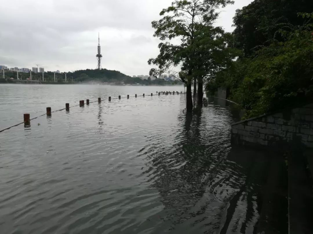 河源市多地停课,枫树坝水库开闸泄洪!